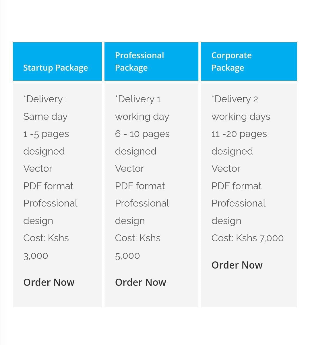Company profile Design